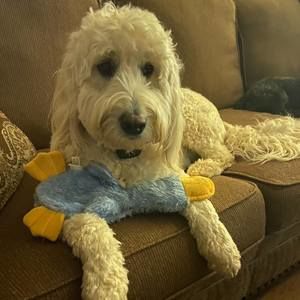 Meet your Posher, Melissa-missy